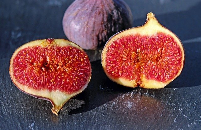 figs-1620590_640.jpg